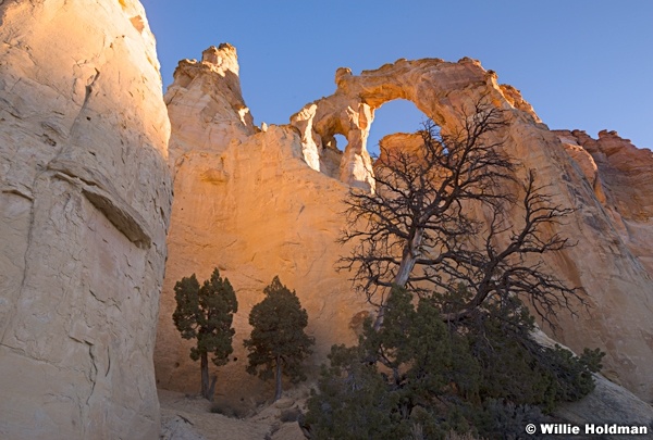 Grosvenor Arch 021315 2