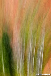 Abstractfallcolors092210 2422