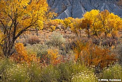 Cainville BadlandAutumn Color 110125 2630 3