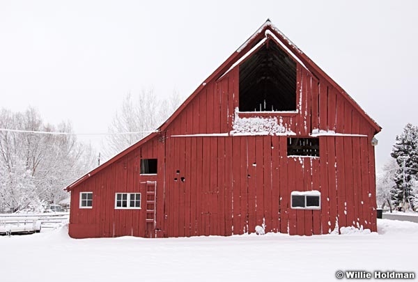 redbarnsnow032609 29938