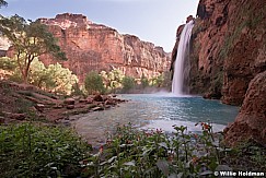 Havasu waterfall red flowers 040918 0815 0816