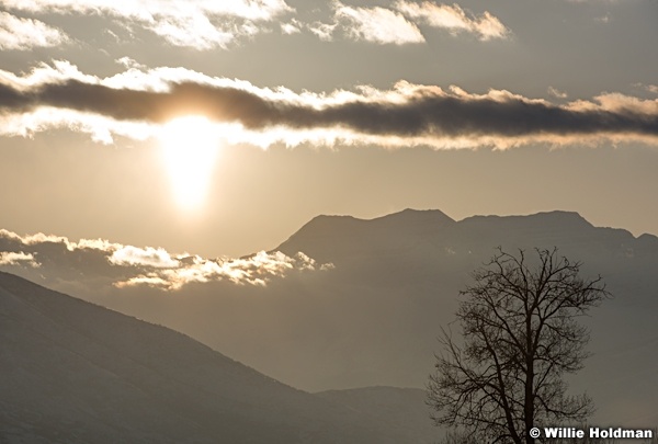 Lone tree timp 012516 0862