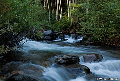 Bigcottonwoodvreek 83