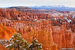 Bryce Canyon hoodoos 032012 124