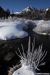 Frosty Stream 030513 252