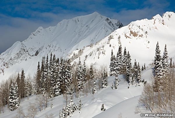 superior050310 0731