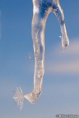 icechristmastreeflakes 1479