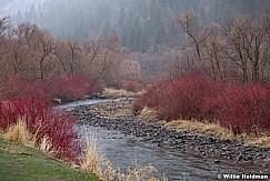 Provo Canyon Colors 032621 7145 2