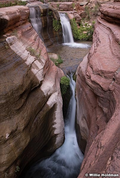 Grand Canyon Photographer 042218 5834