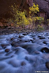 Zion Narrows 110613 0230