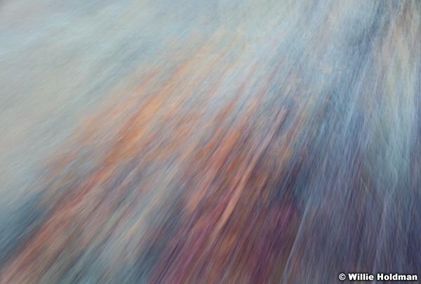 Abstractimpressions101510 5180