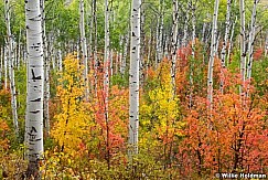 aspen092507 1021
