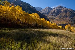Timpanogos Yellow Aspens 100512 258
