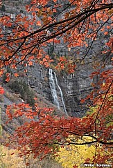 Maples Framing Bridal Veil merge 102322 4446