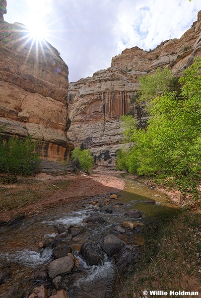 Pleasant Creek Canyon Sunburst 043026 5851