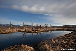 Marsh Reflection031613 2033