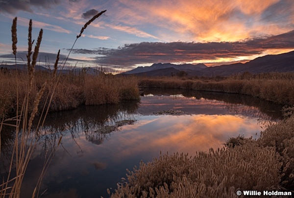 Yellow Provo River Sunset 102420 9040 2