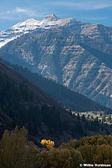 Provo Canyon 102016 2