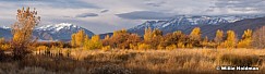 Cascade Timpanogos Yellows 102218 3418