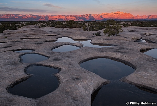 Gooseberry Waterholes 1124189 7844 2