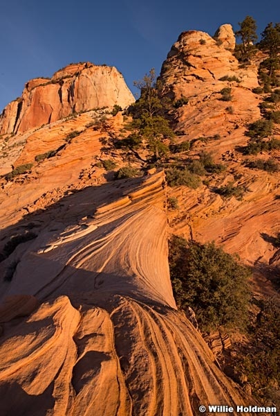 Zion Overlook 110613 0560