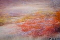 Abstractimpressions101510 5305