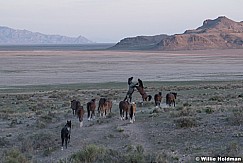 Wild Horses 051621 8836