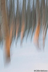 Aspenabstract120310 5