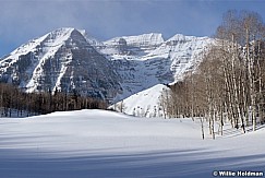 Timpanogos Meadow WinterII022312