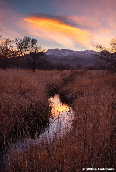 Timp Afterglow 112625 6522