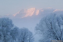 Timpanogosfrost010409 0658