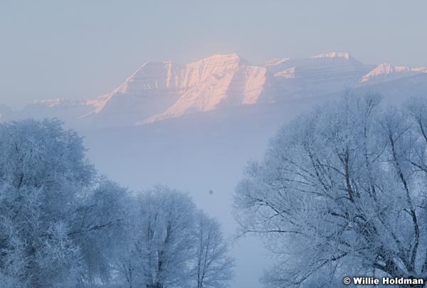 Timpanogosfrost010409 0658
