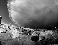 100070500119BW