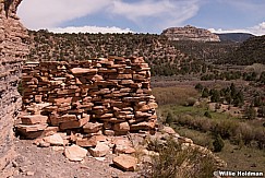 Beef Basin Rock 050415 8820 2