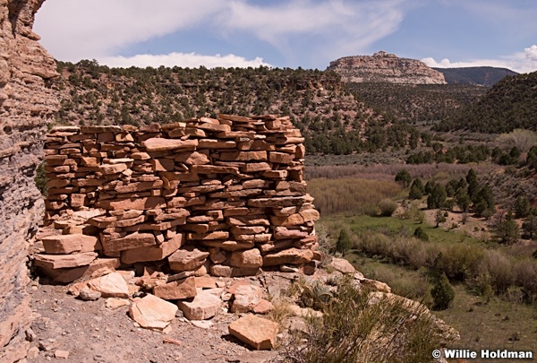 Beef Basin Rock 050415 8820 2