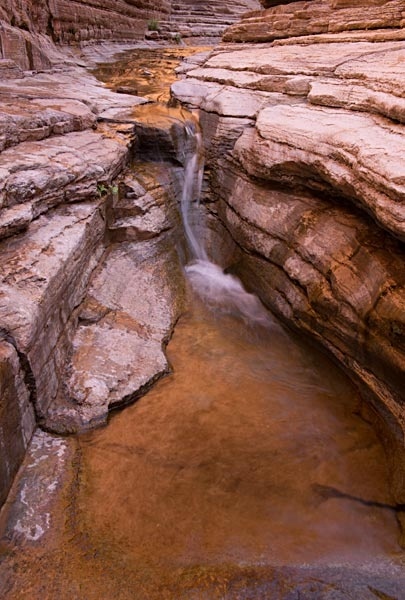 Matkatamiba Grand Canyon 041115 5927