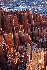 Bryce Winter 011513 251