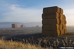 haystacks120108 9709