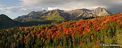 timpautumnpanoroama091908