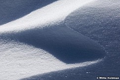 Snowabstract032709 545