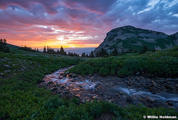 Timpanogos Stream Utah 071322 3115