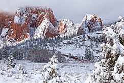 Zion Snow Rock 032012 222