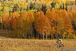 mtnbikeraspensautumn092708 6178