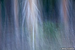 Abstractimpressions101510 6088