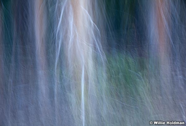 Abstractimpressions101510 6088