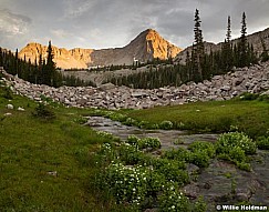 Pfeifferhorn stream 071513