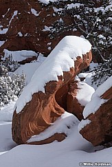 Red Rock Snow 012323 3084