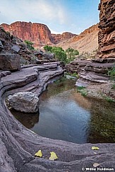 Grand Canyon Deer Creek 042521 2929