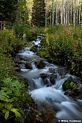 Aspengrovestream091211 54