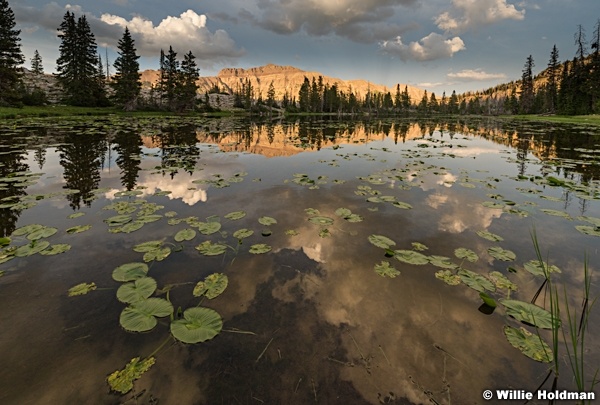 Uinta Lily Sunset 072117 4287 2